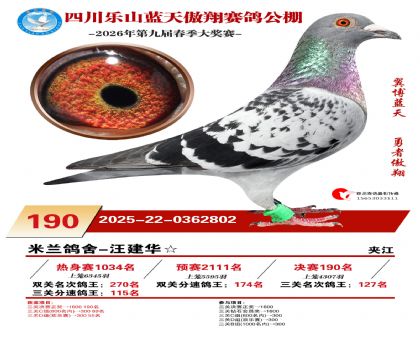 �Ĵ�����������190��