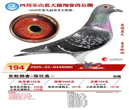 �Ĵ�����������194��