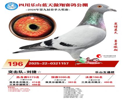 �Ĵ�����������196��