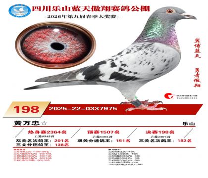 �Ĵ�����������198��