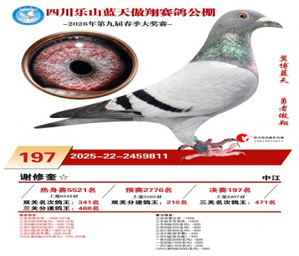 �Ĵ�����������197��