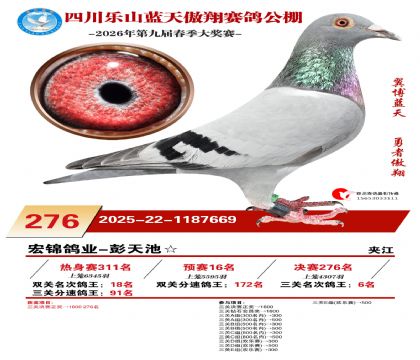 �Ĵ�����������ظ���6��