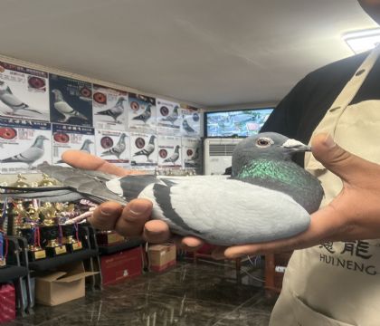 2.890���׻�Ѫ�����ָ�365