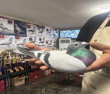 4.�����ָ�041