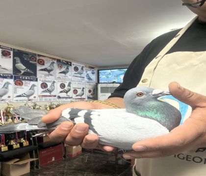 7.�ƽ��ֱ��192