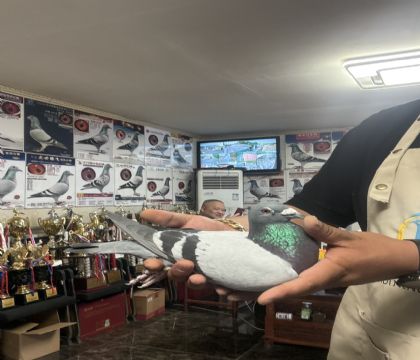 8.�ƽ�Խ��׻�Ѫ�����ָ�199