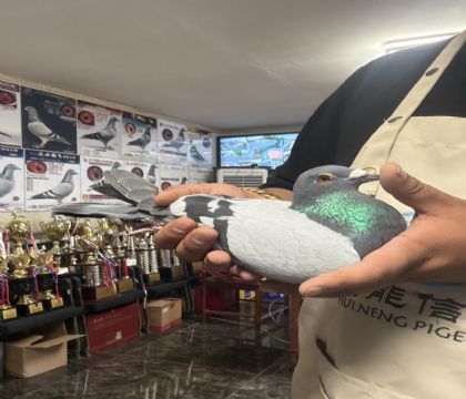 9.�����ָ�738