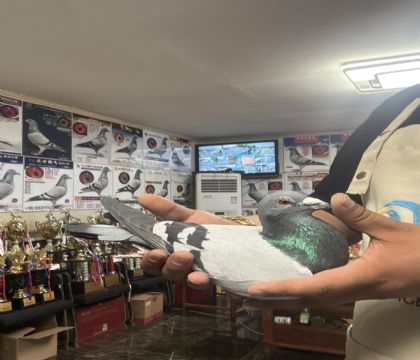 10.�����ָ�276