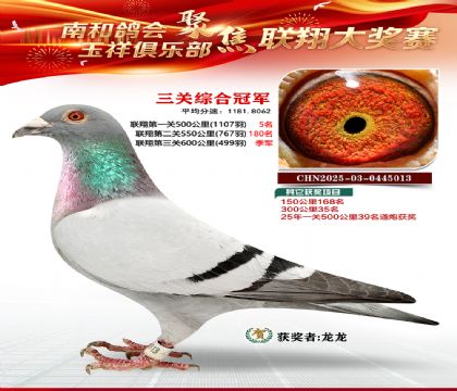 �������ظ����ھ�