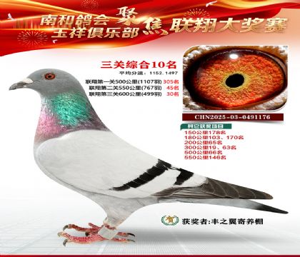 �������ظ���10��