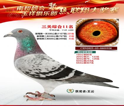 �������ظ���11��