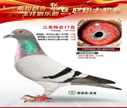 �������ظ���17��