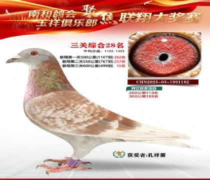 �������ظ���28��