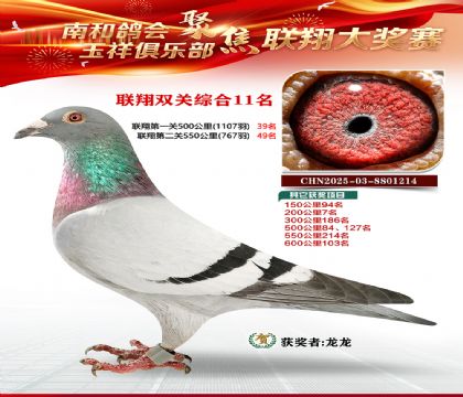 ����˫��11��