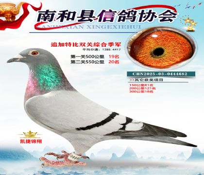 �Ϻ��ر�˫�ؼ���