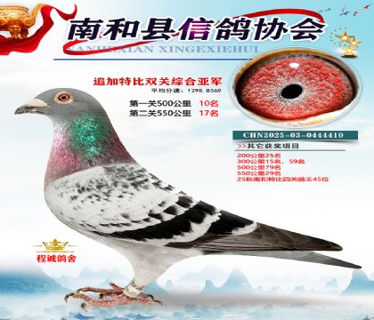 �Ϻ��ر�˫���Ǿ�