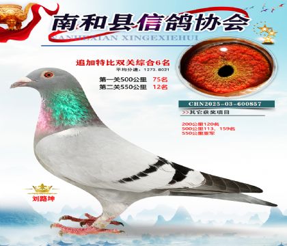 �Ϻ��ر�˫��6��