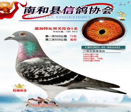 �Ϻ��ر�˫��5��