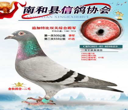 �Ϻ��ر�˫��4��