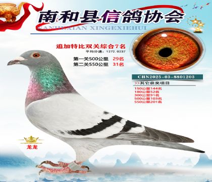 �Ϻ��ر�˫��7��