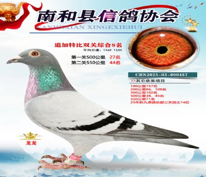 �Ϻ��ر�˫��8��