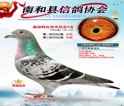 �Ϻ��ر�˫��9��