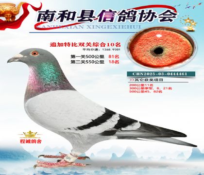 �Ϻ��ر�˫��10��