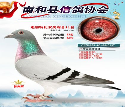 �Ϻ��ر�˫��11��