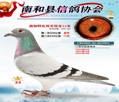 �Ϻ��ر�˫��12��