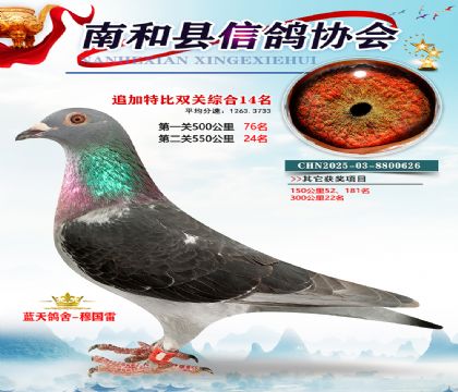 �Ϻ��ر�˫��14��