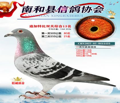 �Ϻ��ر�˫��13��