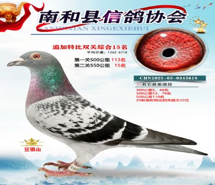 �Ϻ��ر�˫��15��