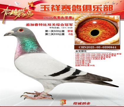 �����ر�˫�عھ�