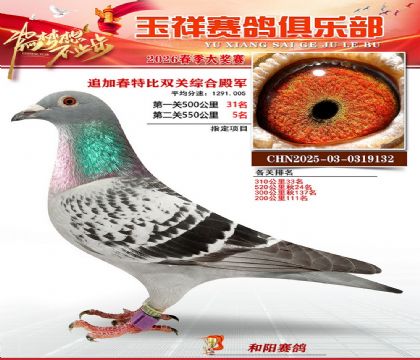 �����ر�˫��4��