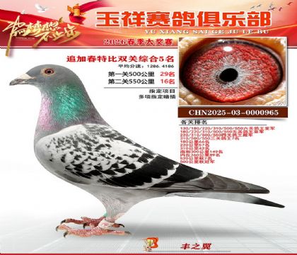 �����ر�˫��5��