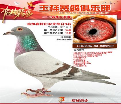 �����ر�˫��8��