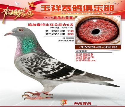 �����ر�˫��6��