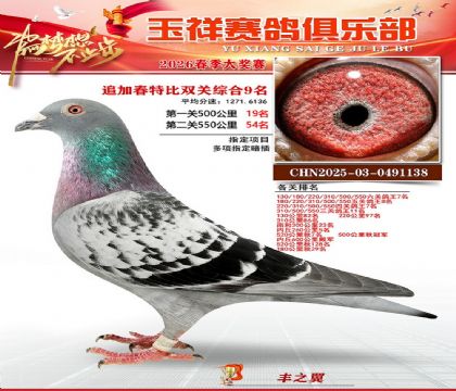 �����ر�˫��9��