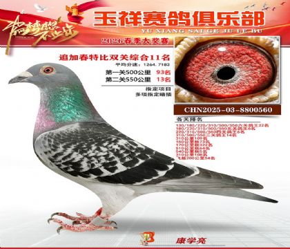 �����ر�˫��11��