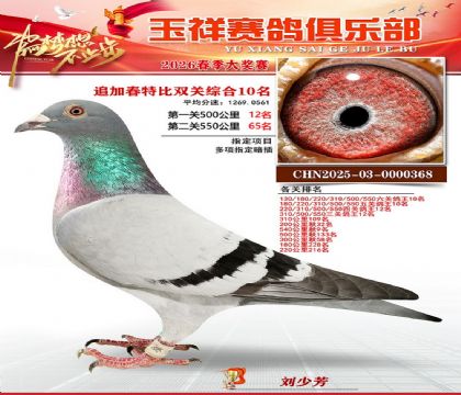 �����ر�˫��10��