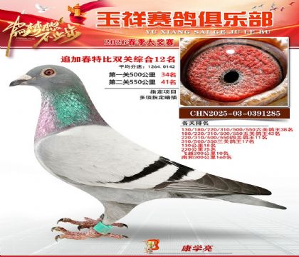 �����ر�˫��12��