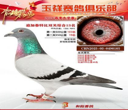 �����ر�˫��13��