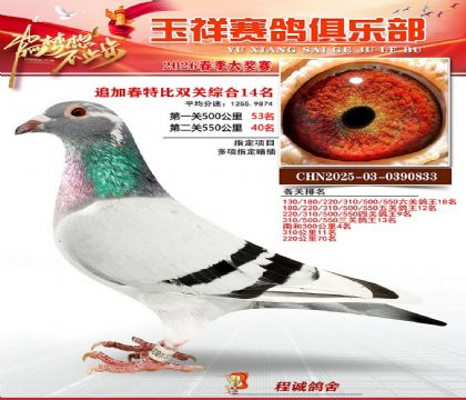 �����ر�˫��14��