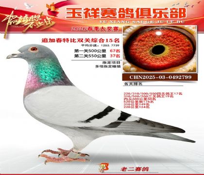 �����ر�˫��15��