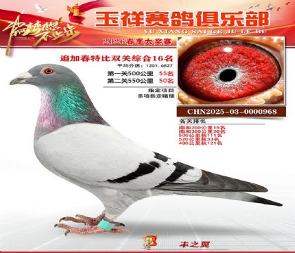 �����ر�˫��16��