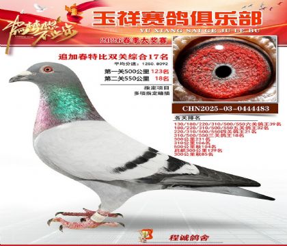 �����ر�˫��17��