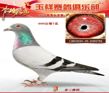 ����600����7��