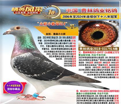 ĸ��500����ھ�����