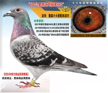 ��㣺500����ھ�