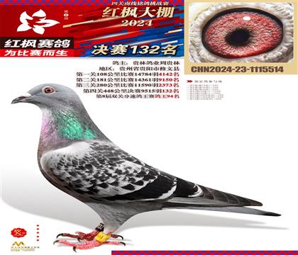 ��㣺��㹫��132��